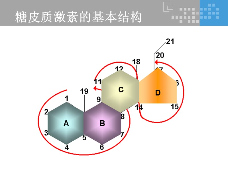 氟轻松是如何发挥其药理作用的？